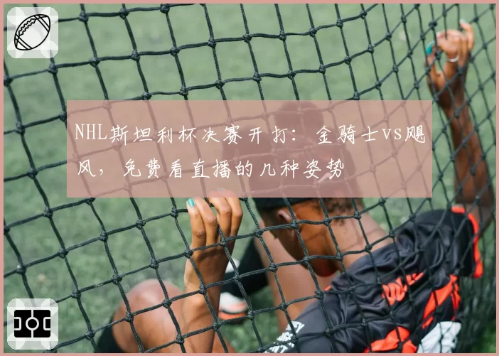 NHL斯坦利杯决赛开打：金骑士vs飓风，免费看直播的几种姿势
