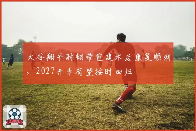 大谷翔平肘韧带重建术后康复顺利，2027开季有望按时回归