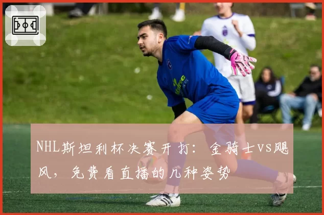 NHL斯坦利杯决赛开打：金骑士vs飓风，免费看直播的几种姿势